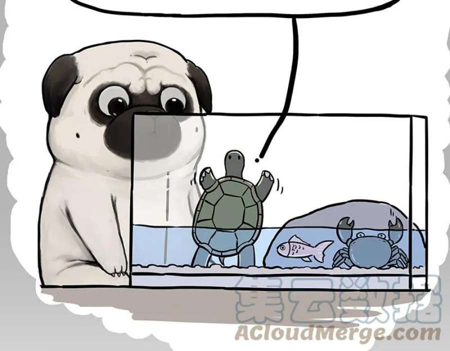 81.jpg