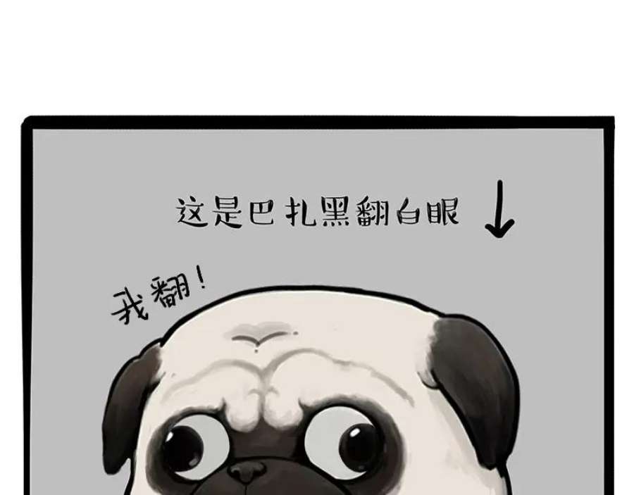 42.jpg