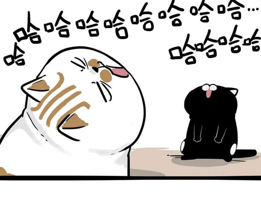 44.jpg