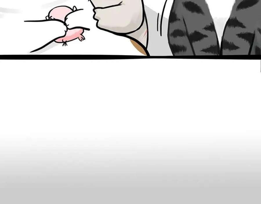 83.jpg
