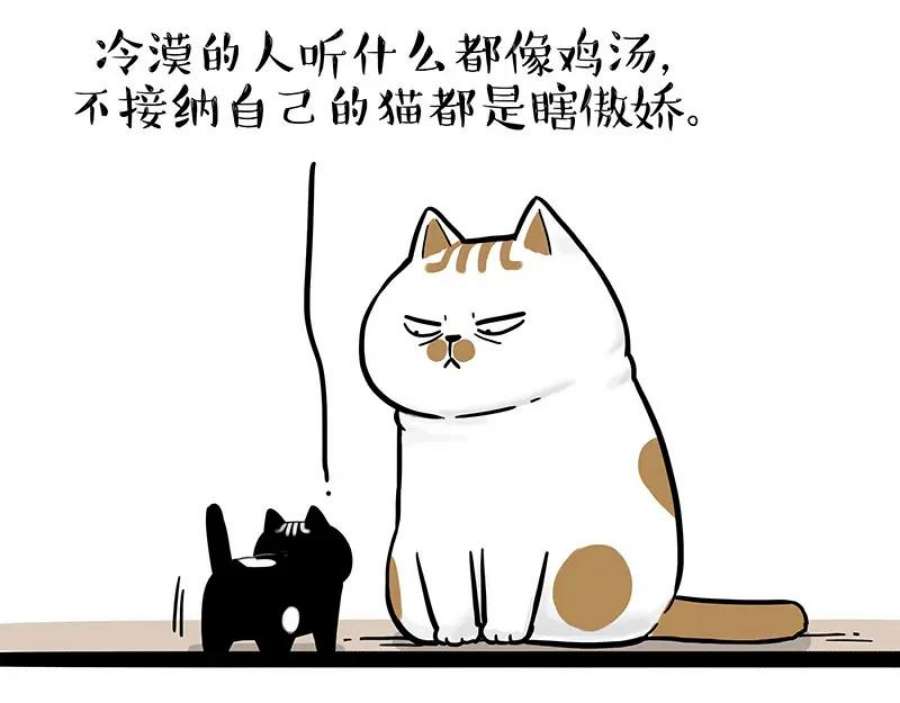 54.jpg