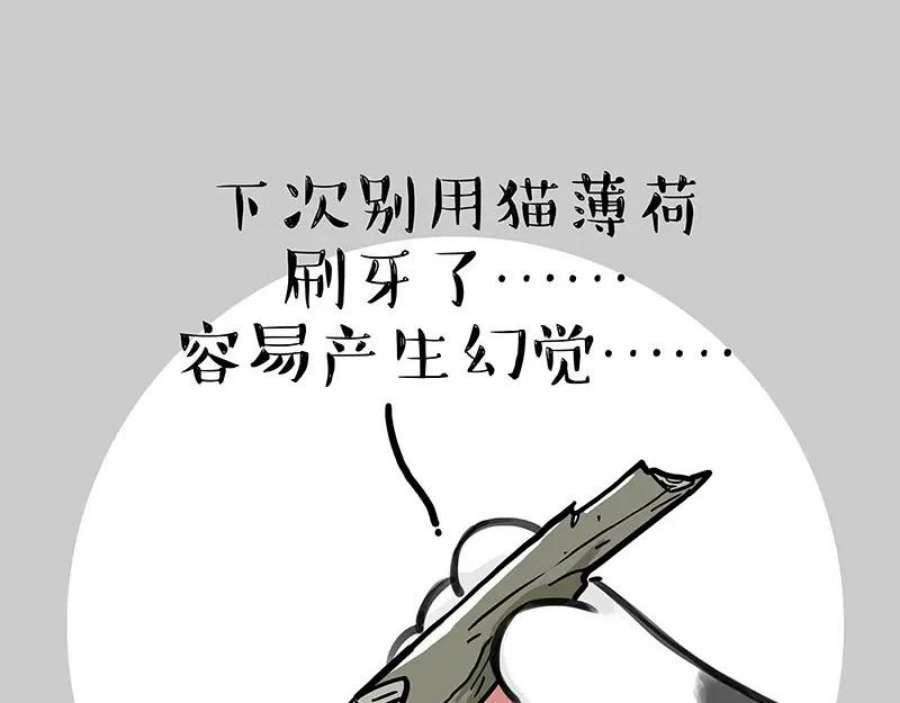 84.jpg