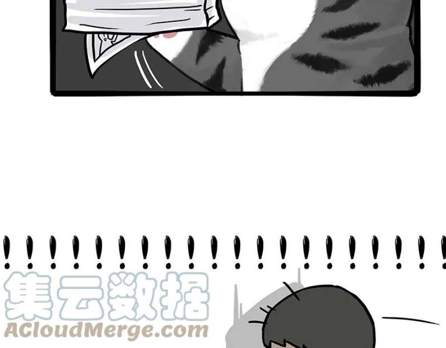 58.jpg