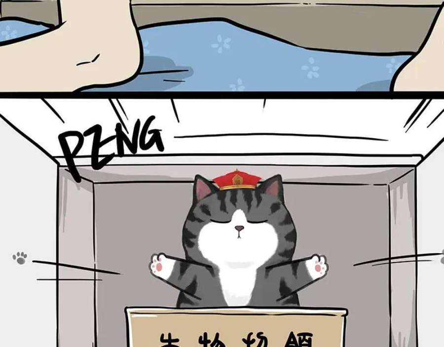 39.jpg