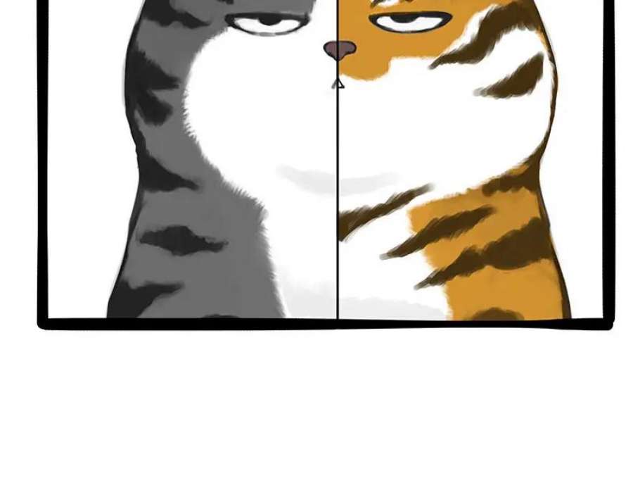 45.jpg