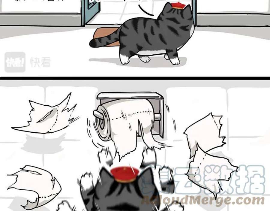 28.jpg