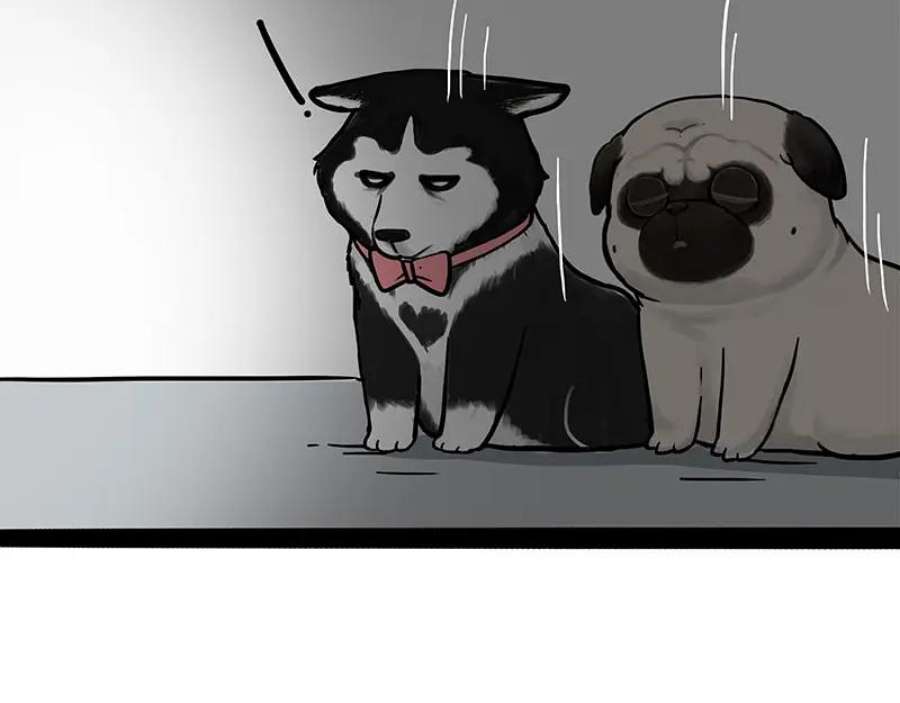 65.jpg