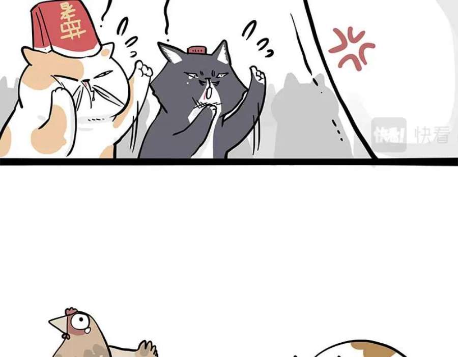 26.jpg