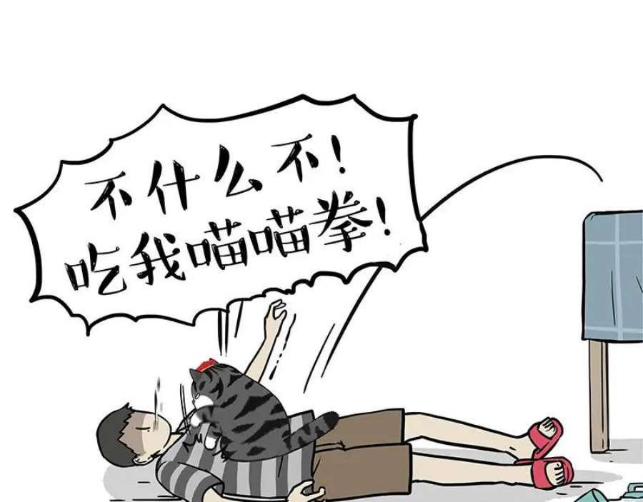 51.jpg