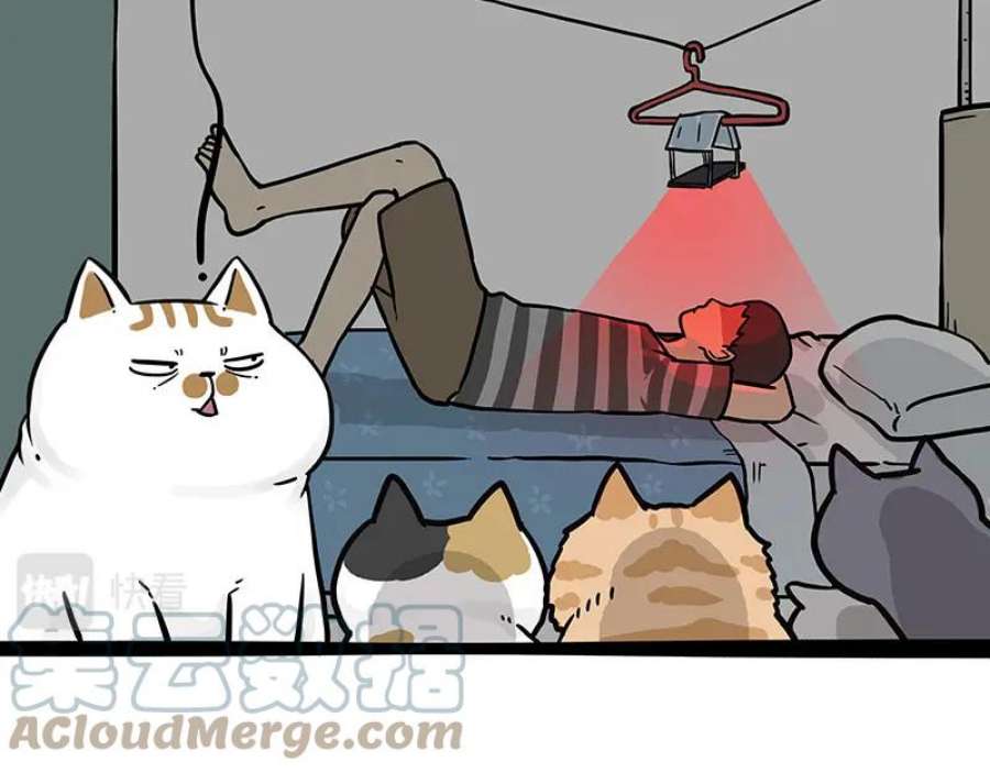 43.jpg