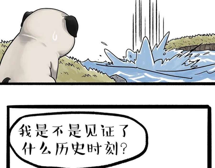 63.jpg