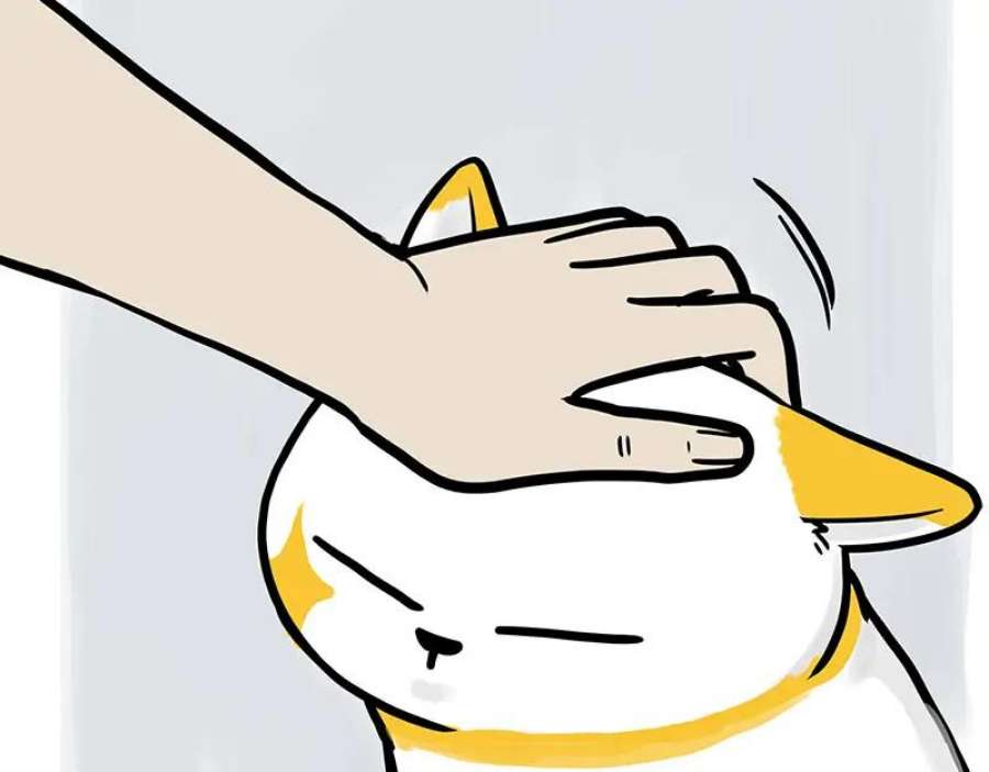 59.jpg