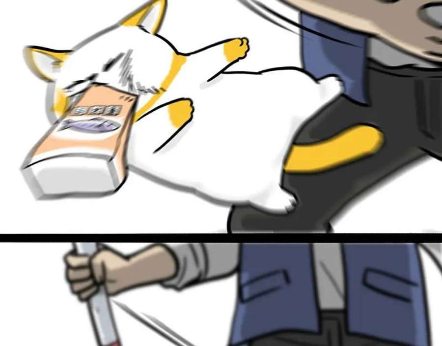 41.jpg