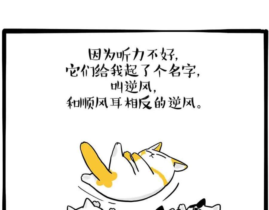 50.jpg