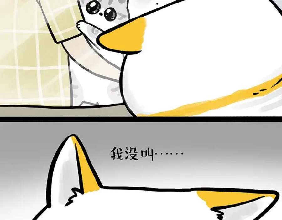 68.jpg
