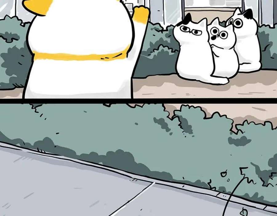 24.jpg