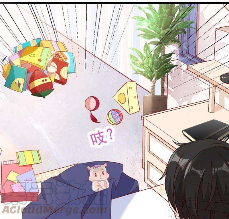 37.jpg