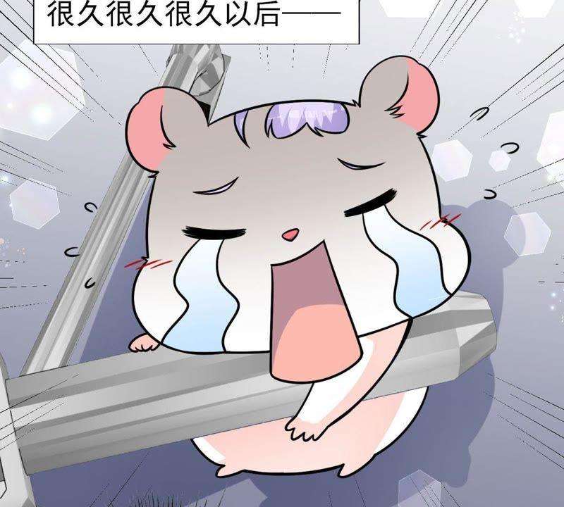 51.jpg