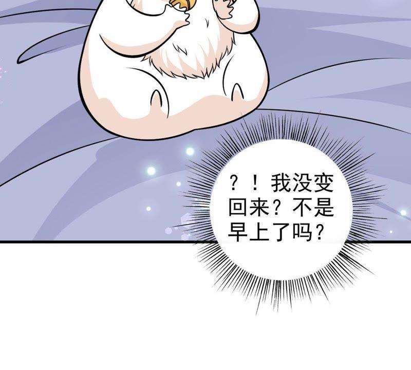 40.jpg