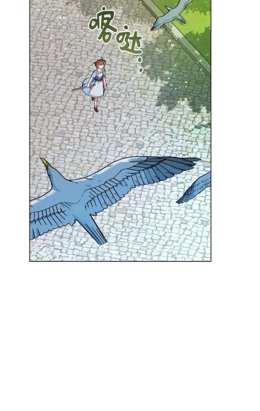 51.jpg