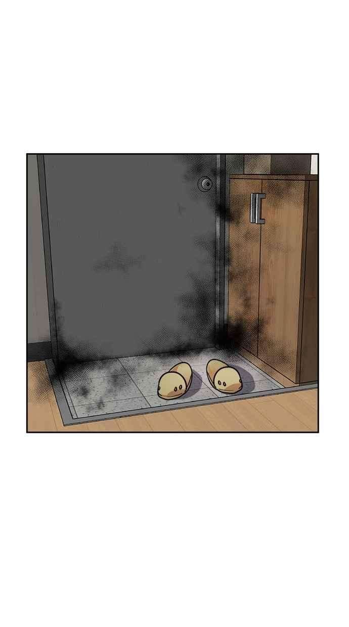 65.jpg