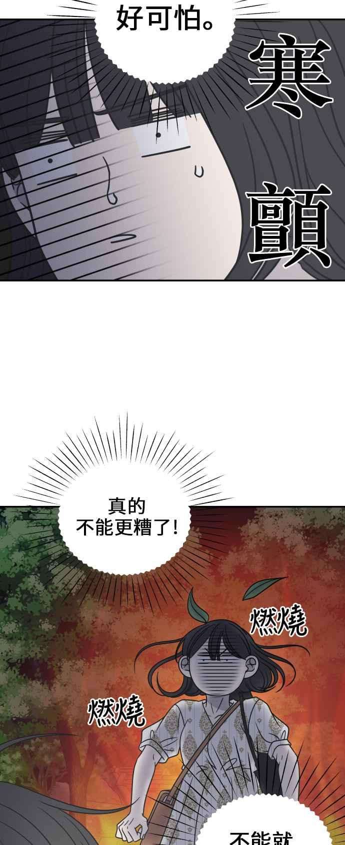 65.jpg