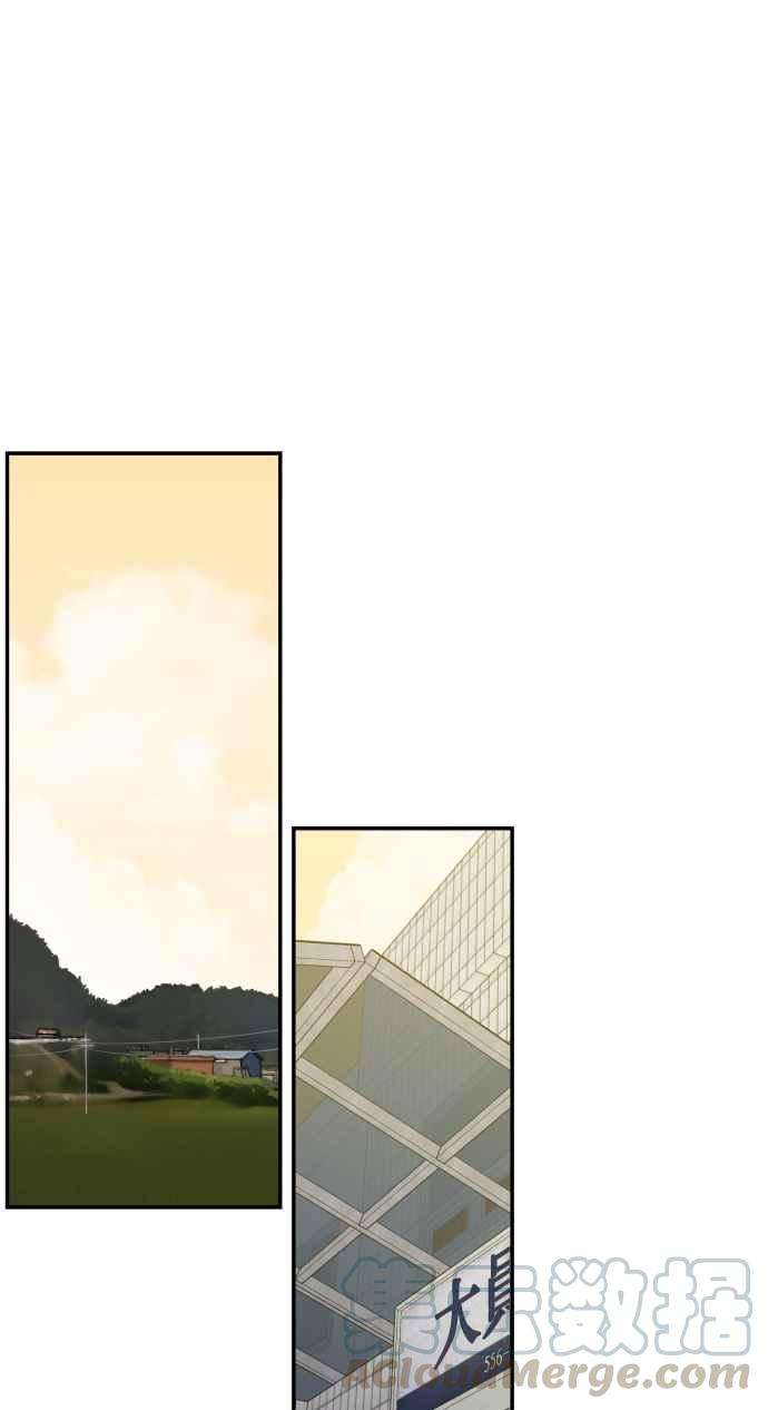 64.jpg