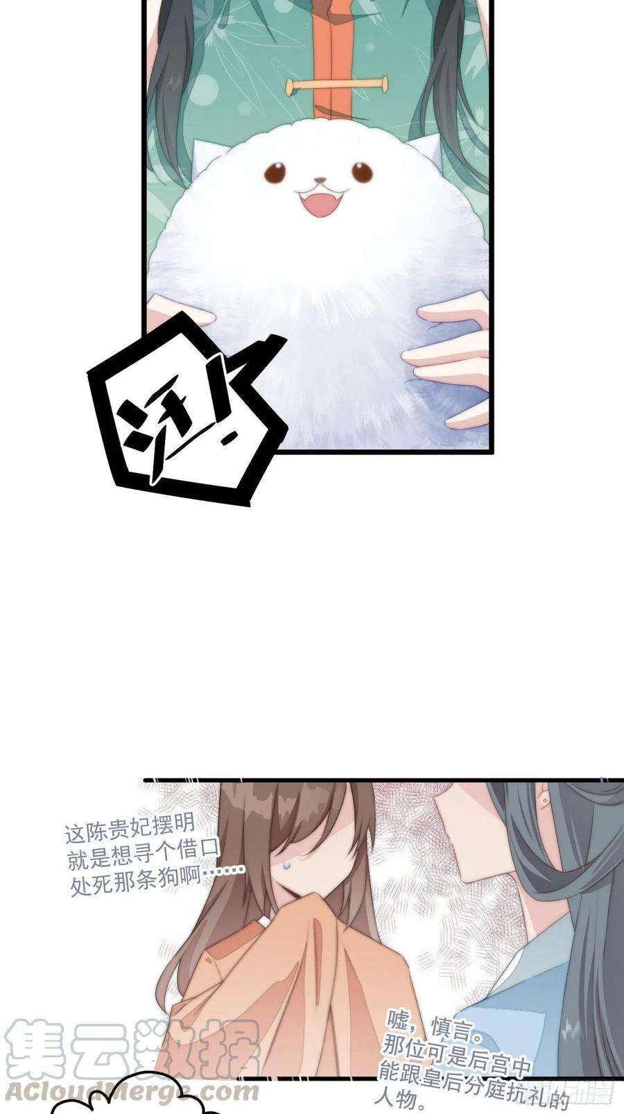 25.jpg