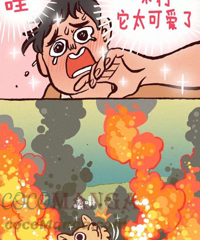 17.jpg