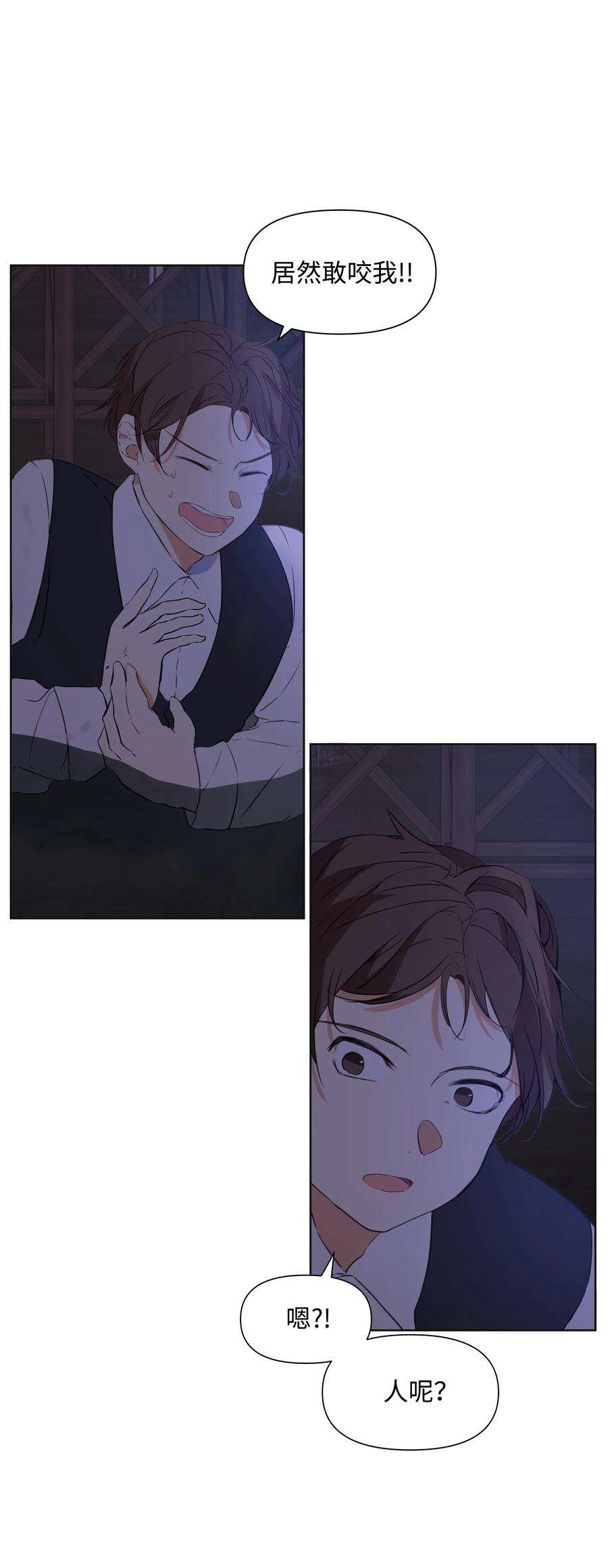 39.jpg