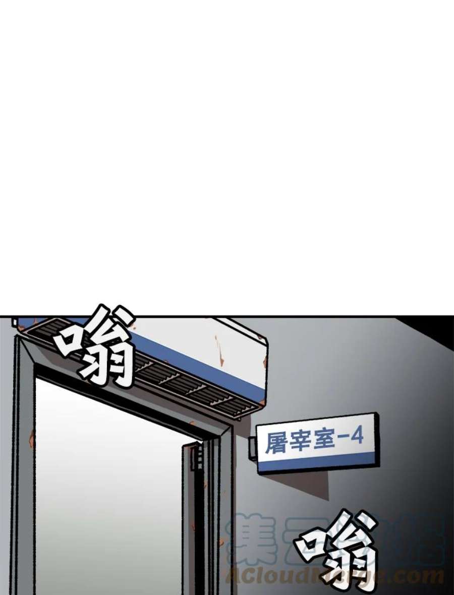 97.jpg