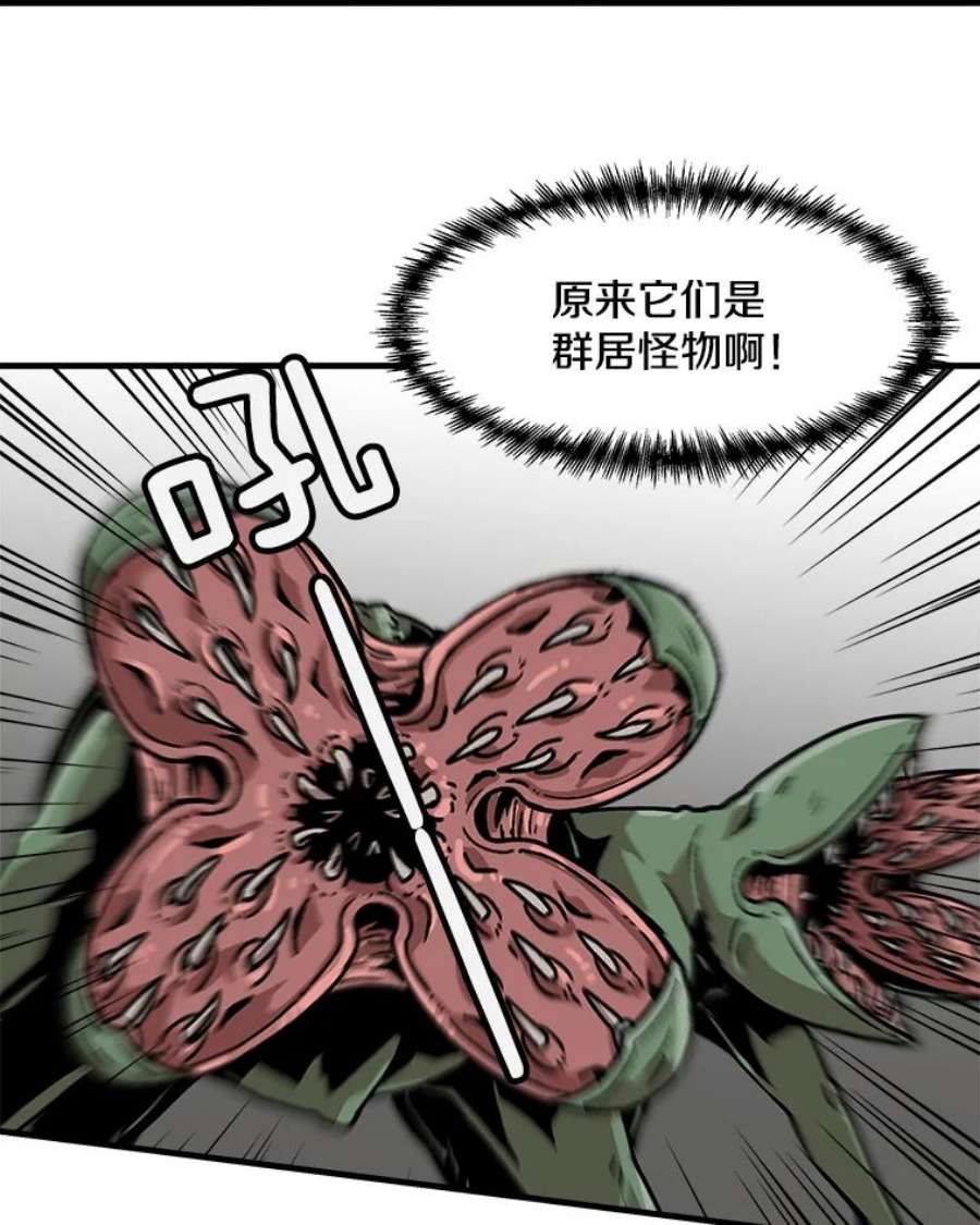 74.jpg