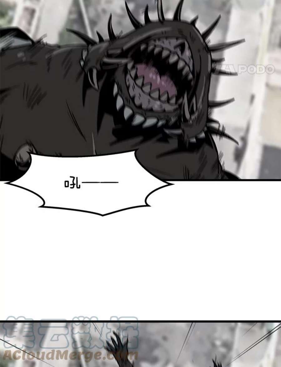 79.jpg