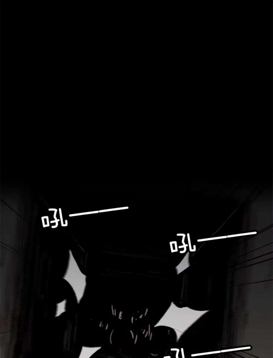 81.jpg