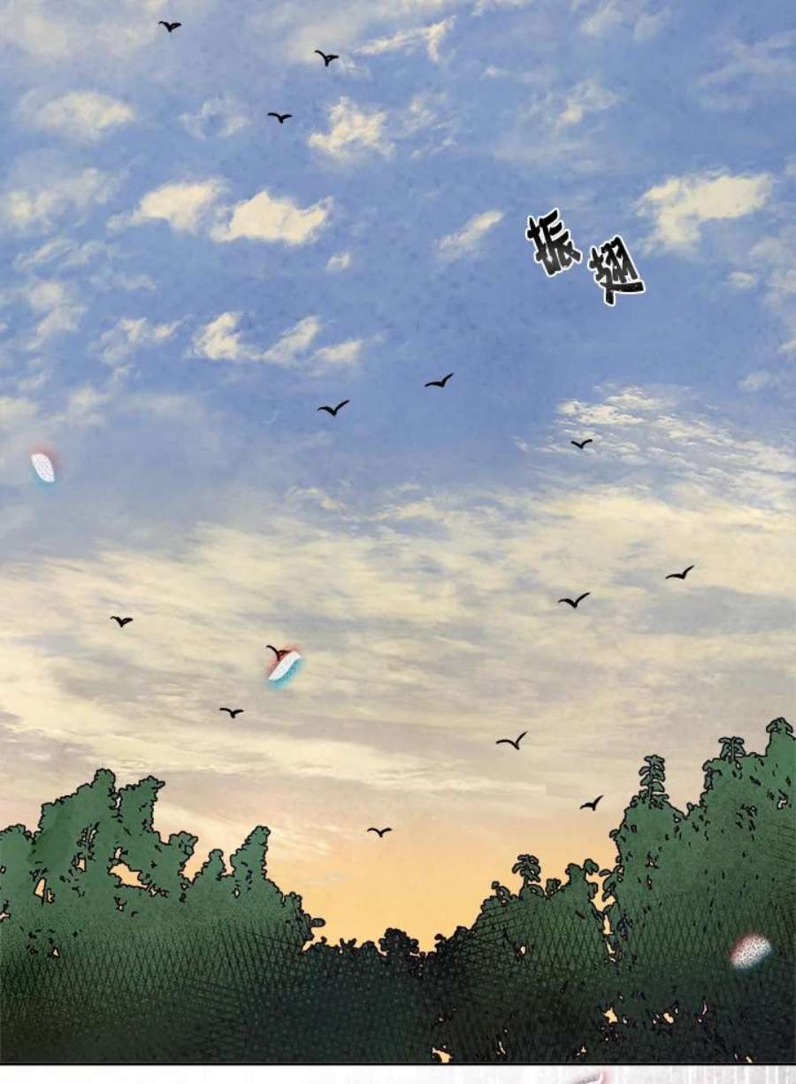 147.jpg