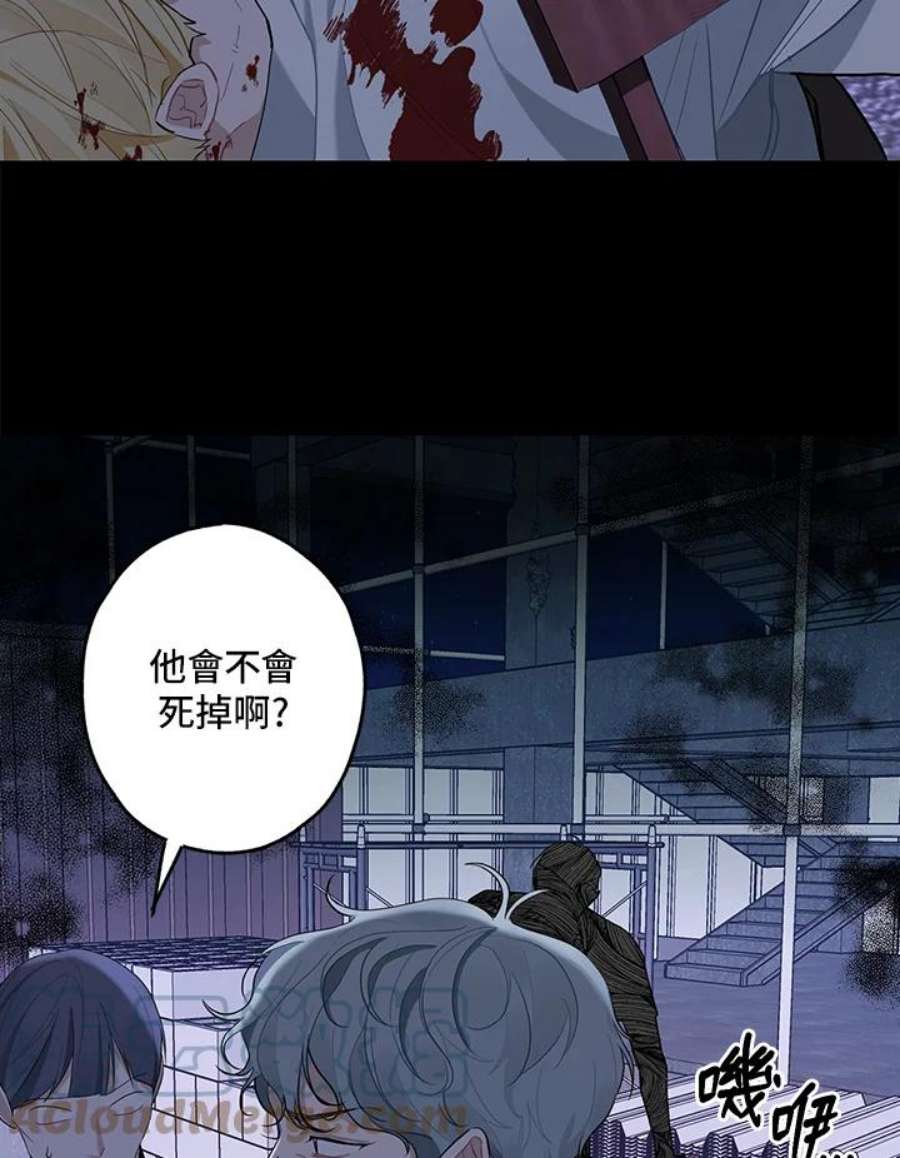 46.jpg