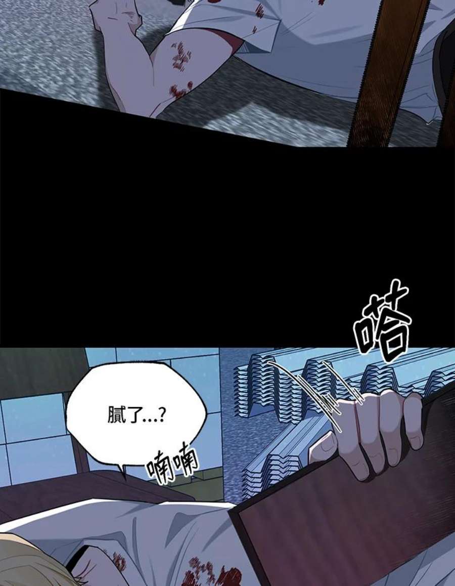 45.jpg