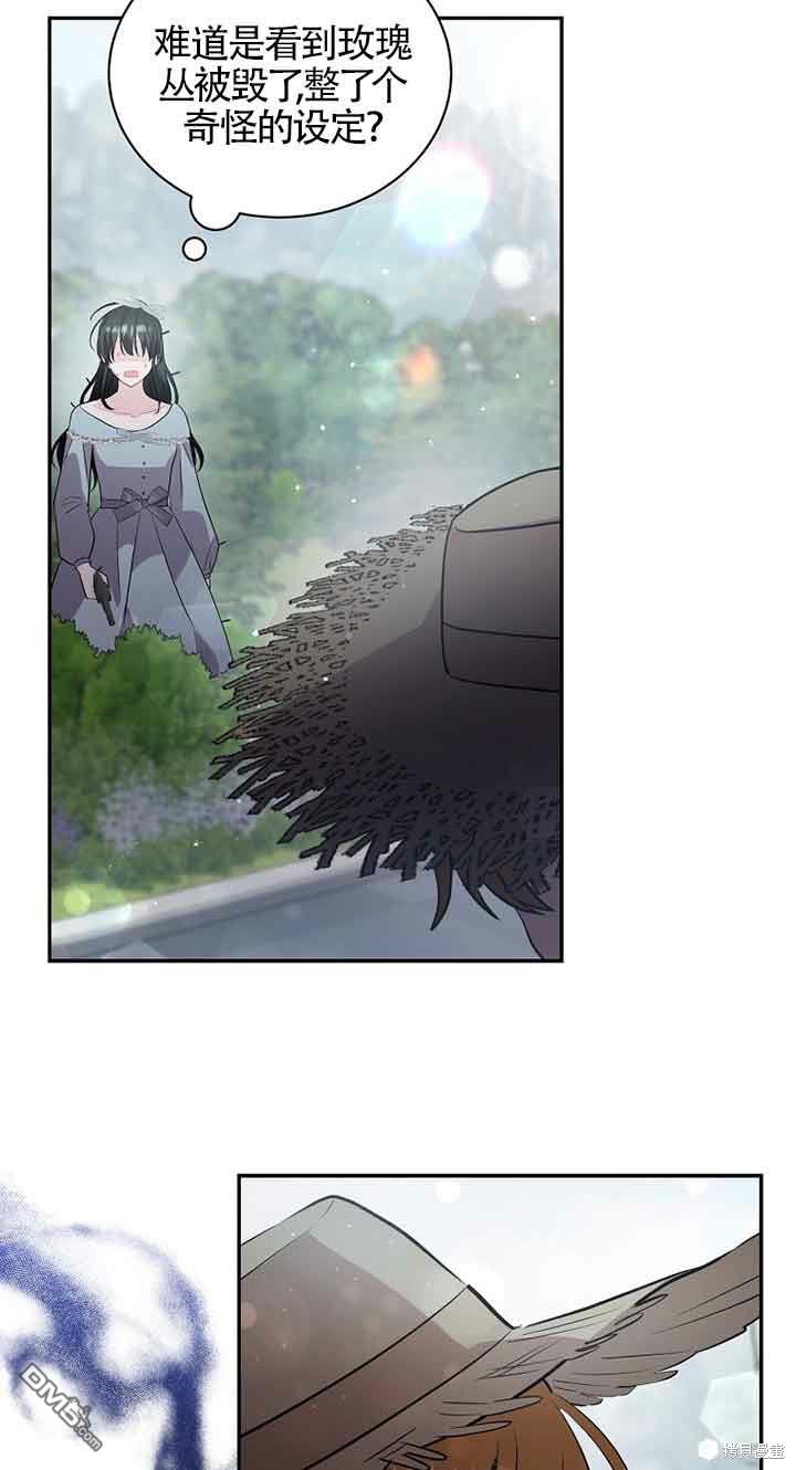 66.jpg