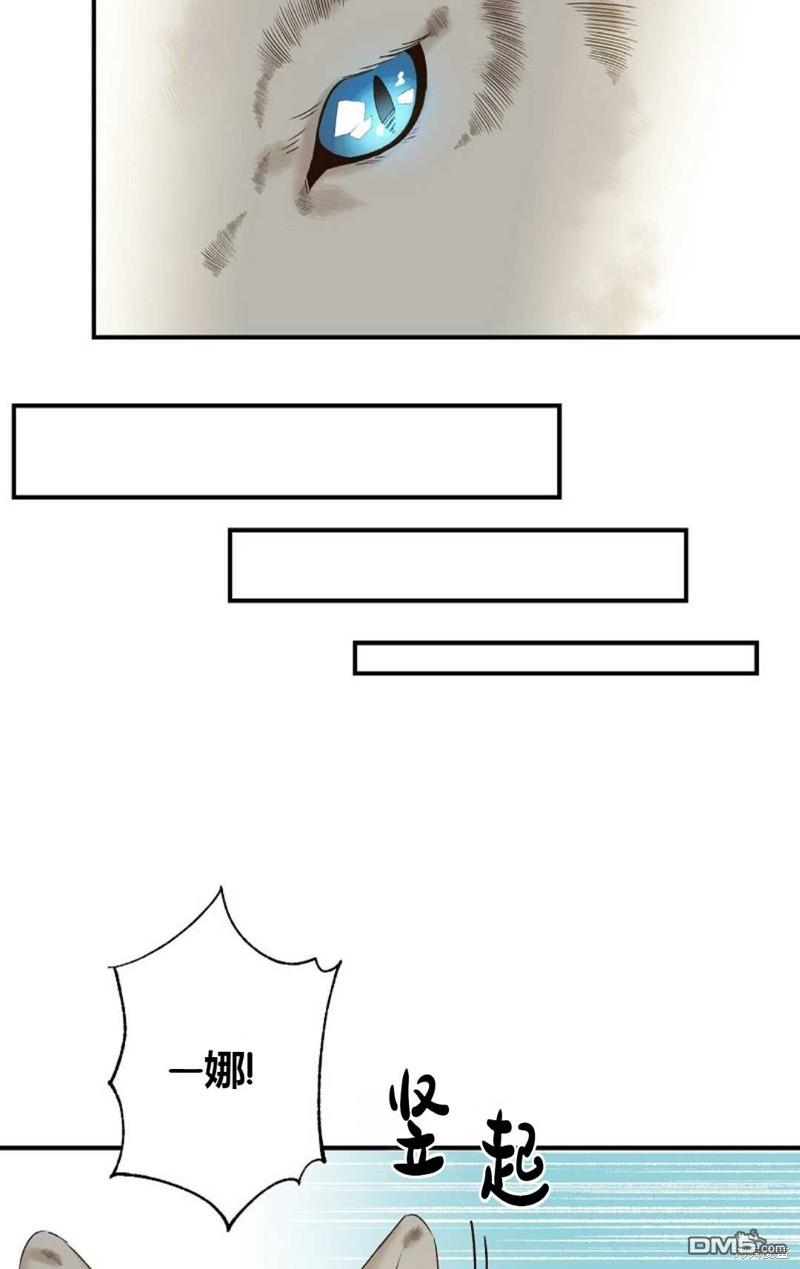 63.jpg