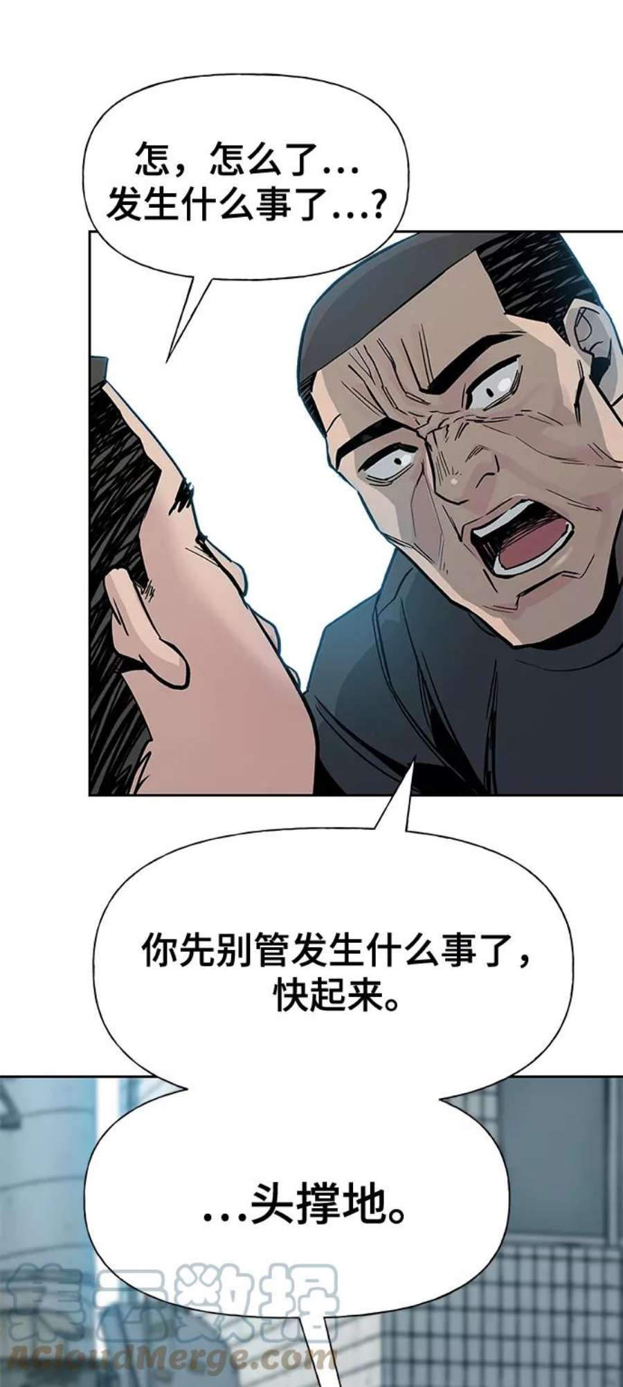 93.jpg