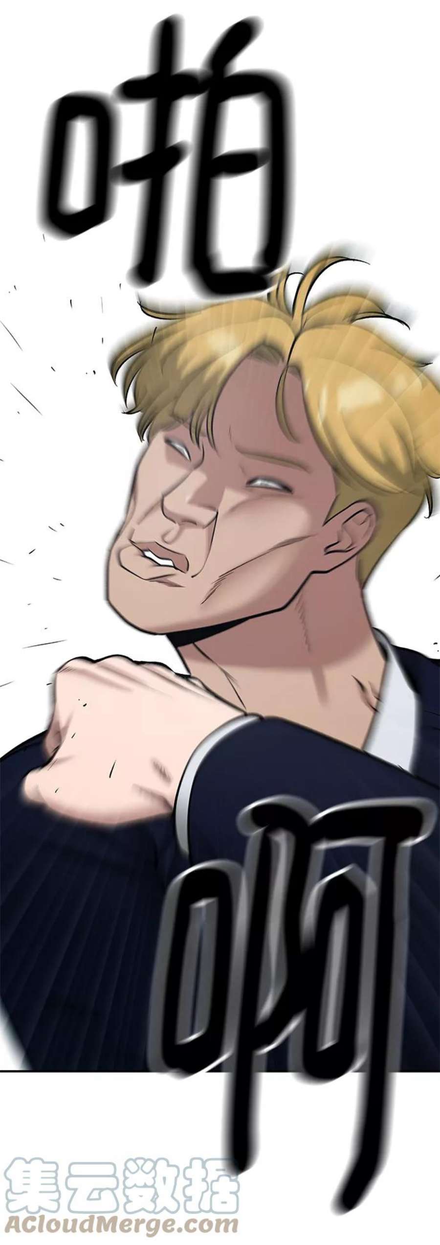 113.jpg