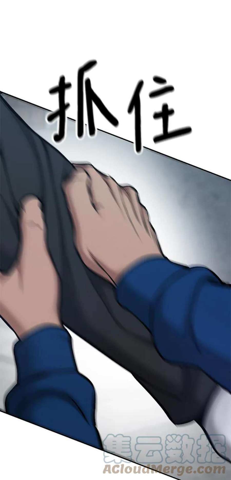 113.jpg