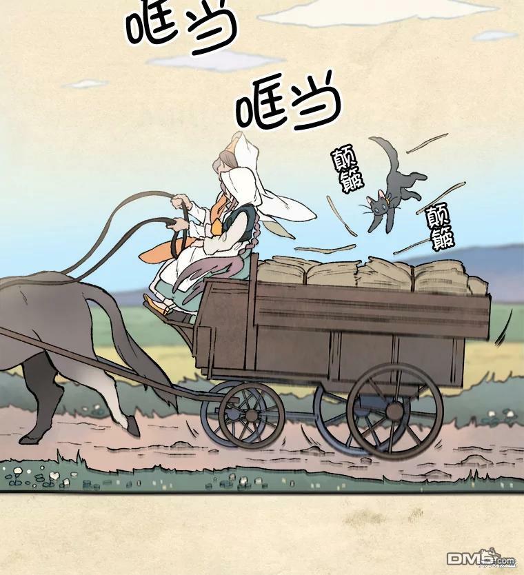 35.jpg