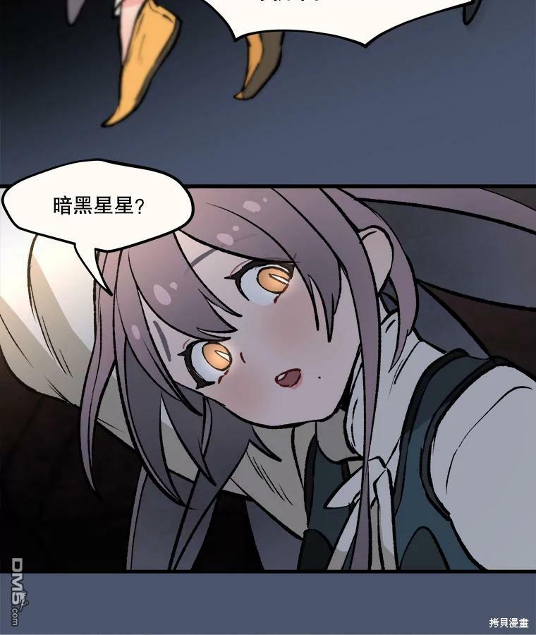 41.jpg