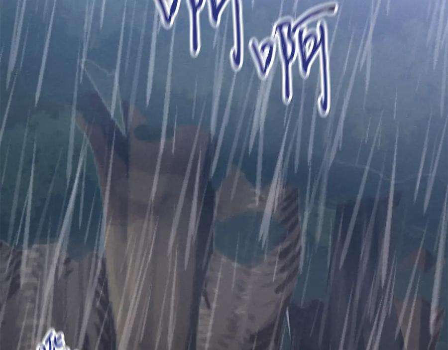 195.jpg