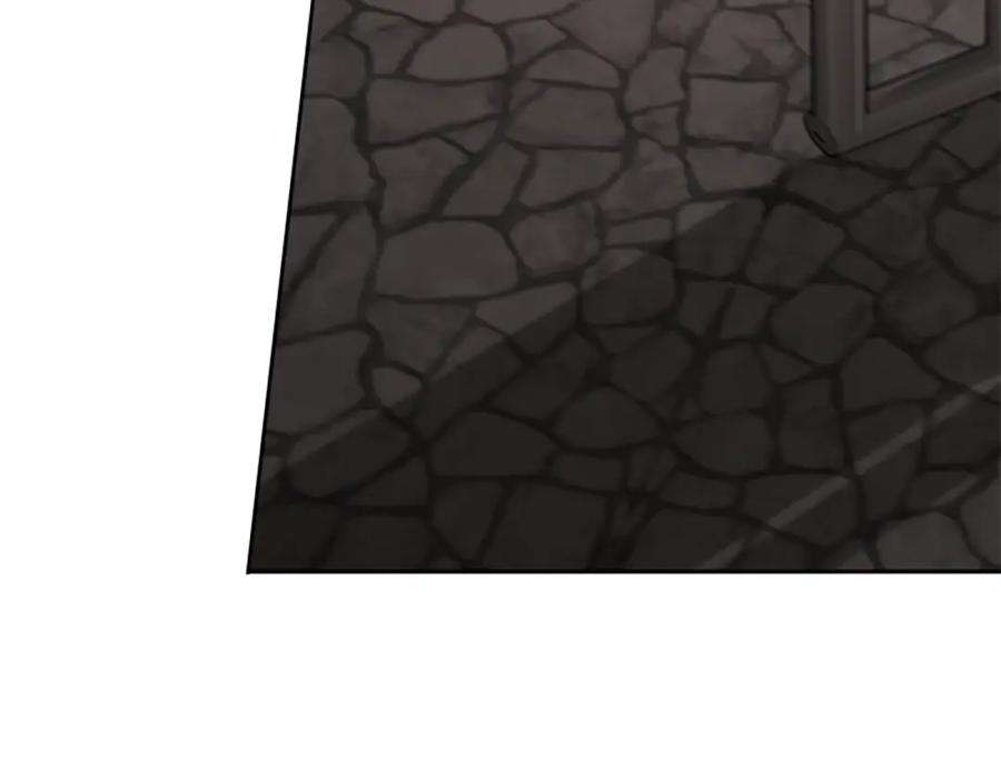 142.jpg