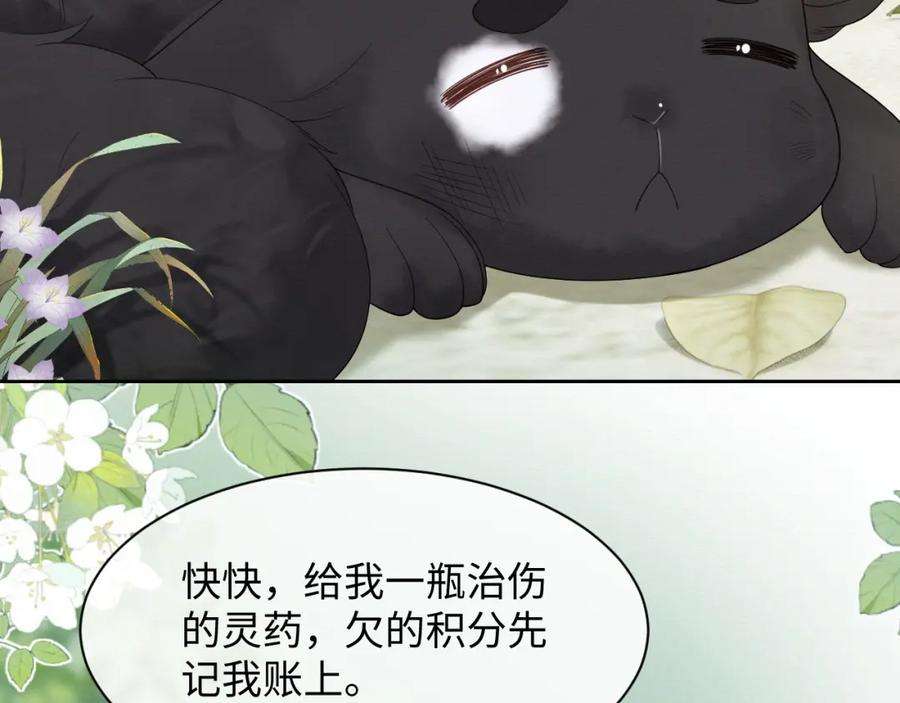51.jpg