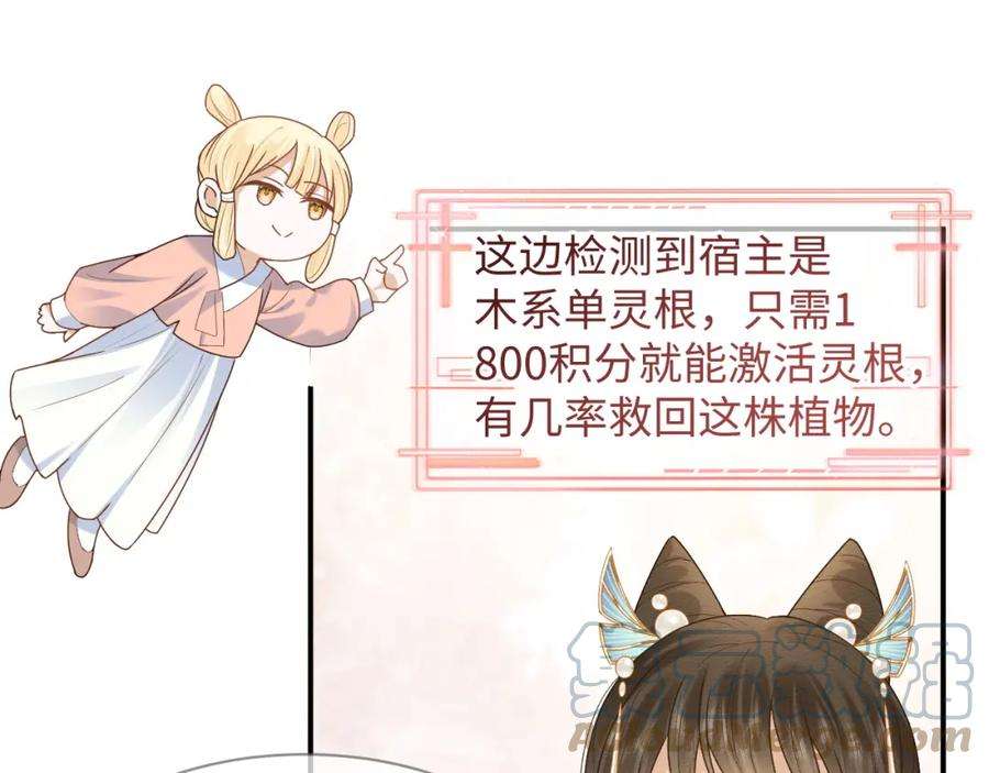 41.jpg