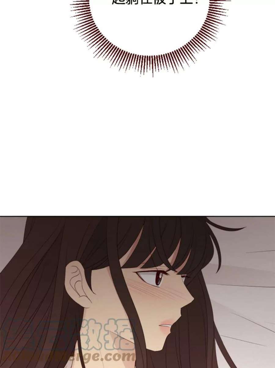 64.jpg