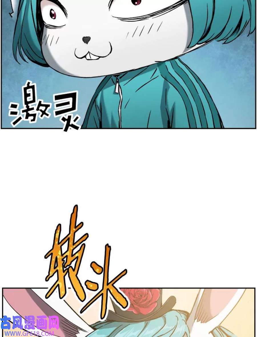 26.jpg